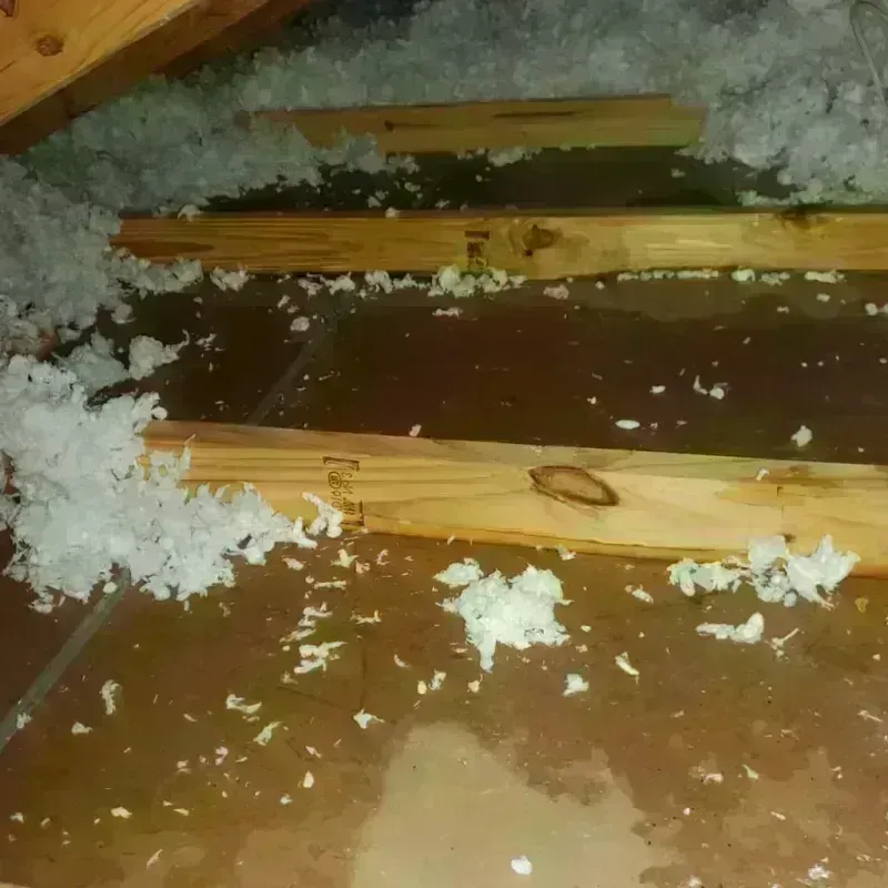 Attic Water Damage in Metcalfe County, KY