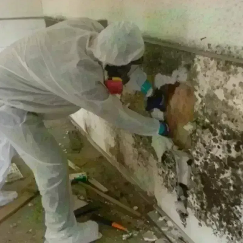 Mold Remediation and Removal in Metcalfe County, KY